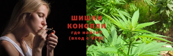 ГАЛЛЮЦИНОГЕННЫЕ ГРИБЫ Аркадак