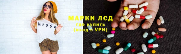ГАЛЛЮЦИНОГЕННЫЕ ГРИБЫ Аркадак