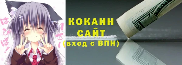 ГАЛЛЮЦИНОГЕННЫЕ ГРИБЫ Аркадак